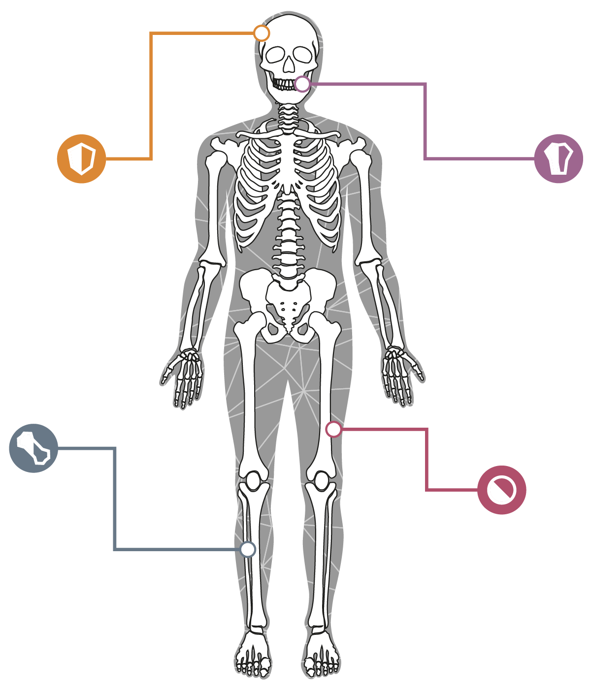 Paleopathology BIOMUSE